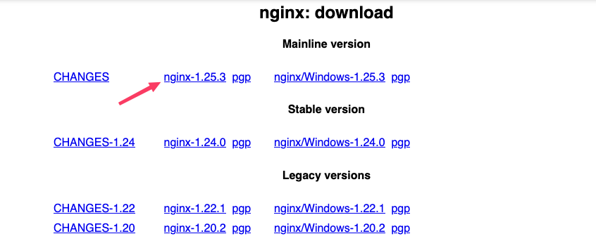 Nginx Website